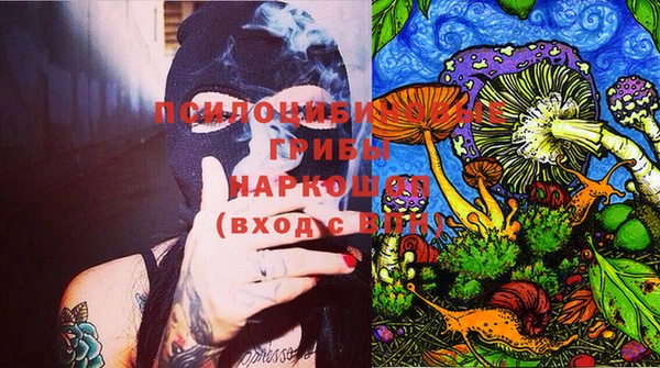 мет Няндома