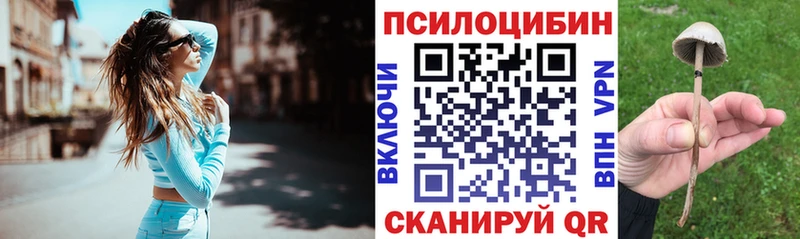 купить   кракен ТОР  Псилоцибиновые грибы ЛСД  Чапаевск 