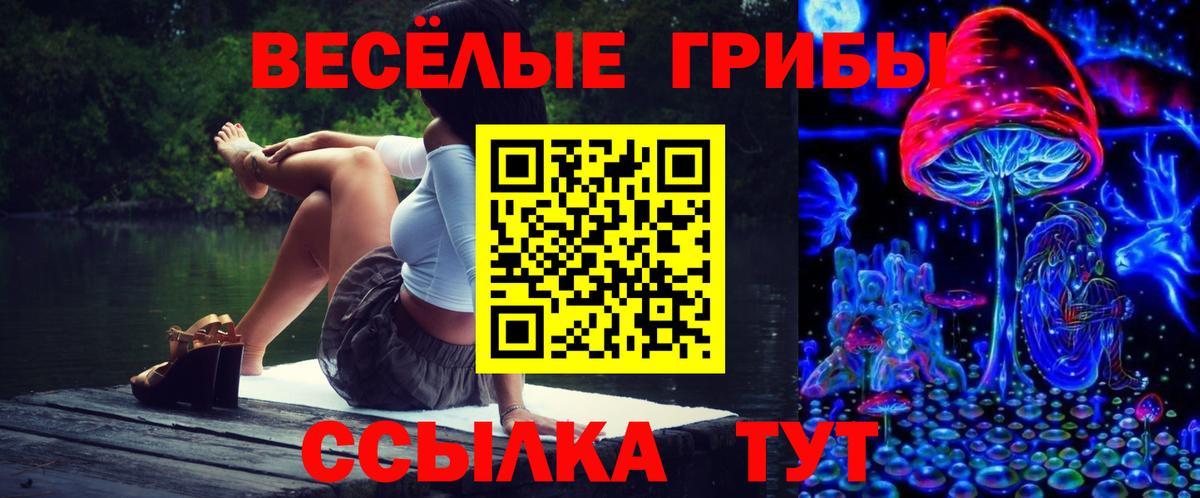 Чапаевск  Псилоцибиновые грибы Psilocybine cubensis  Вход с VPN 